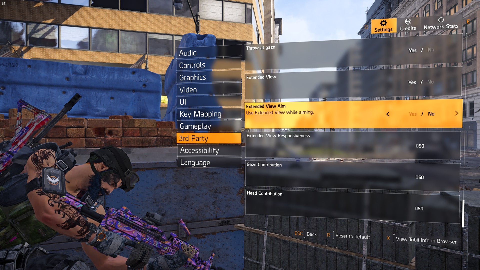 extended_view_aim.jpg